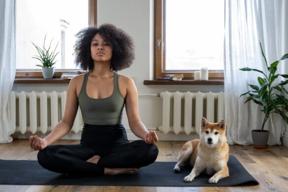 Chair Yoga for Beginners: Easy Poses to Enhance Flexibility and Reduce Stress